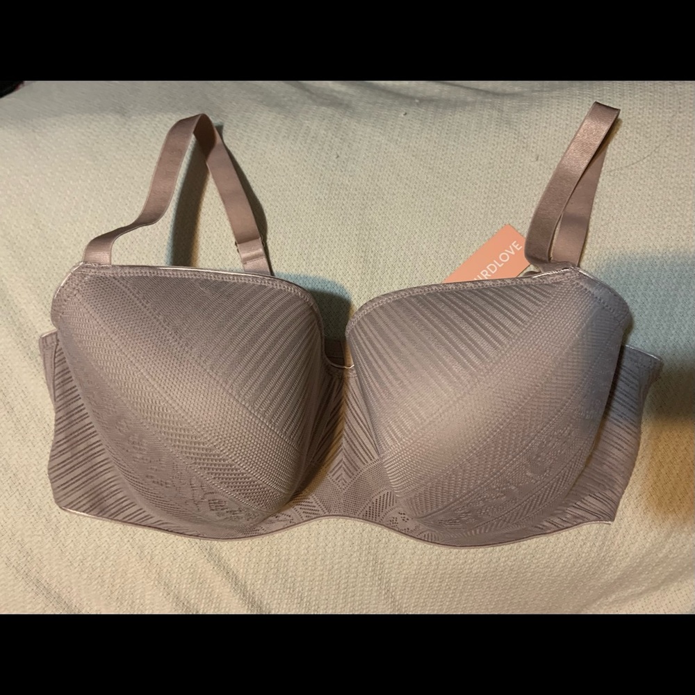 ThirdLove Everyday Lace T-shirt bra in Atmosphere, size 42D. NWT